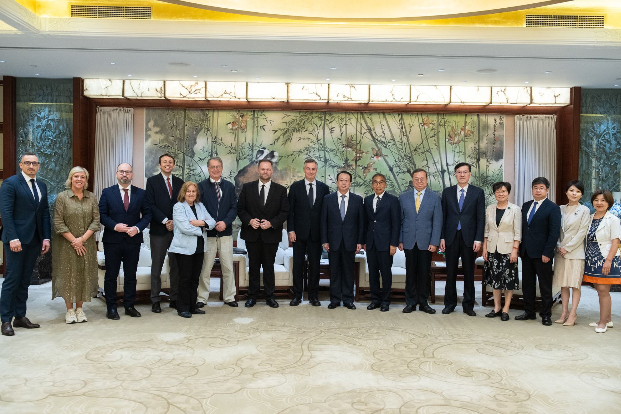 Delegazione europea cina european parliament
