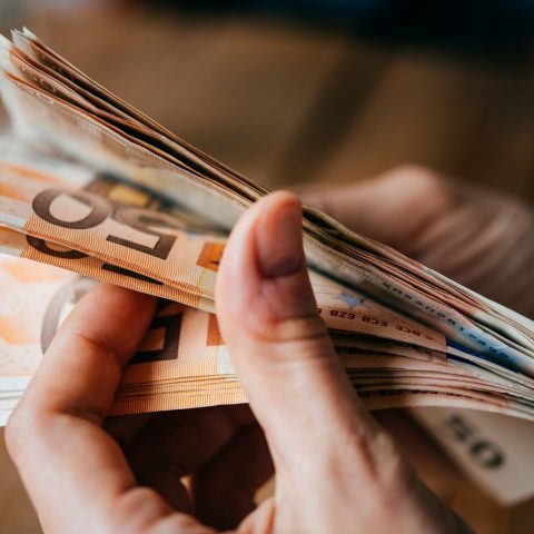 Euro canva
