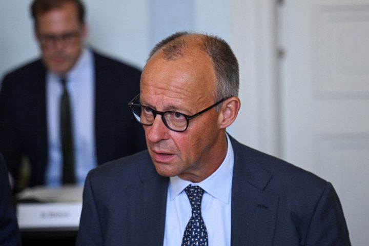 Merz germania afp