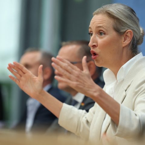 Alice Weidel, co-leader di Afd