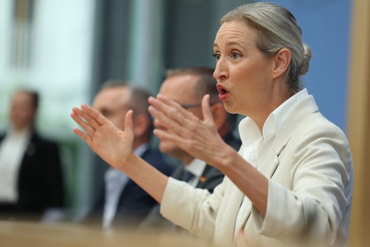 Alice Weidel, co-leader di Afd