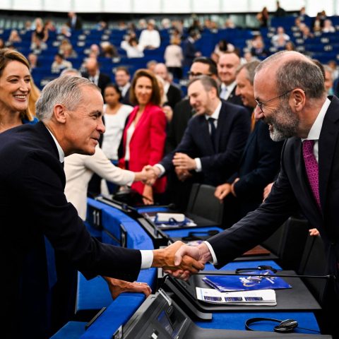 Manfred weber carney soteu