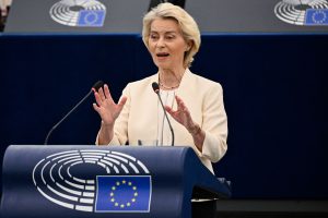 Soteu vdl