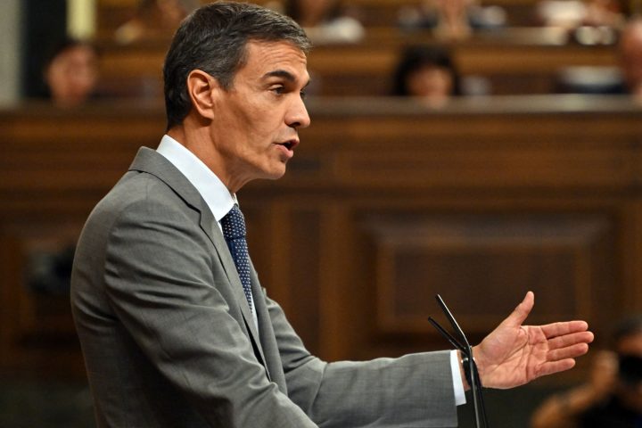 Pedro sanchez elezioni anticipate afp