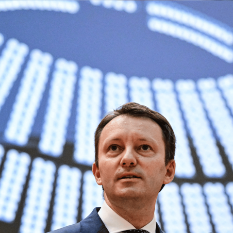 Muresan siegfried europarlamento afp