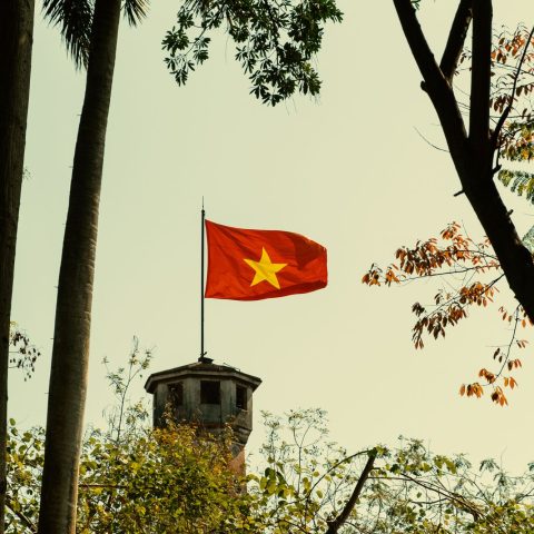 Bandiera vietnamita