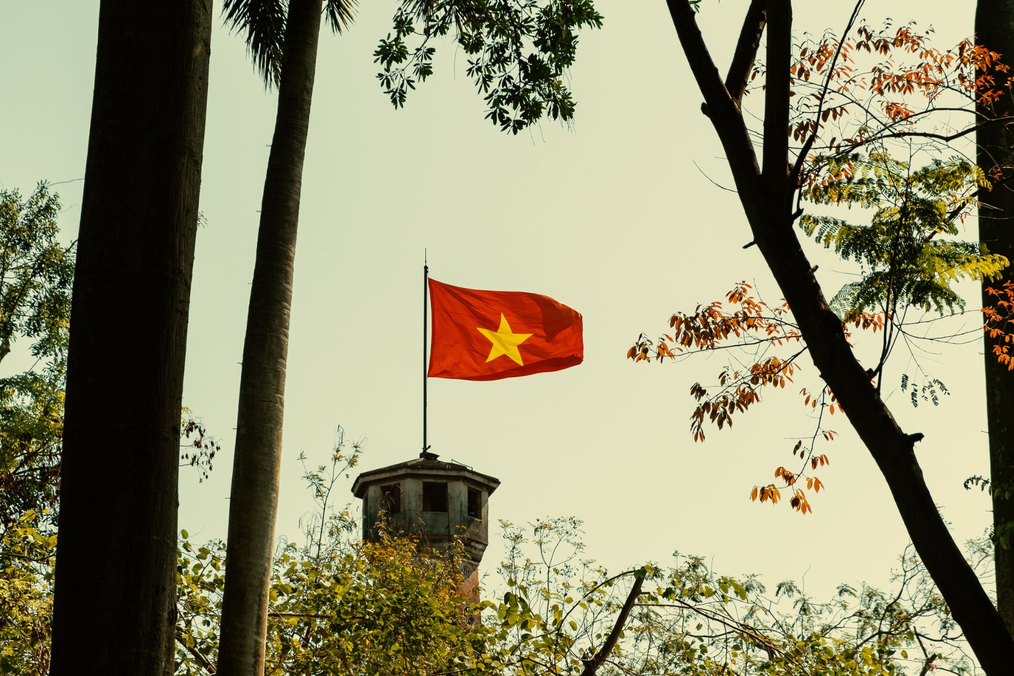Bandiera vietnamita