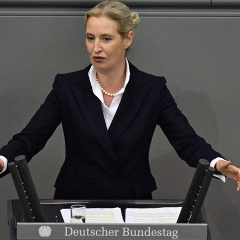 La leader di Alternative fur Deutschland, Alice Weidel