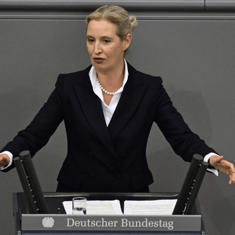 Alice weidel afd