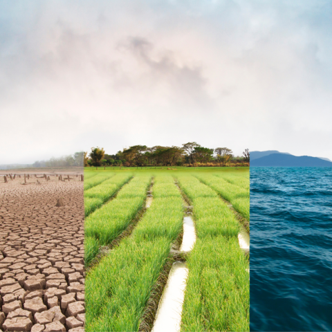 I tre disastri climatici più pericolosi per la salute globale