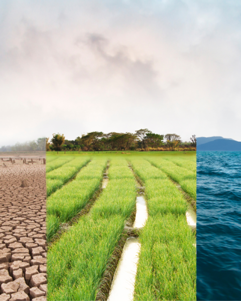I tre disastri climatici più pericolosi per la salute globale