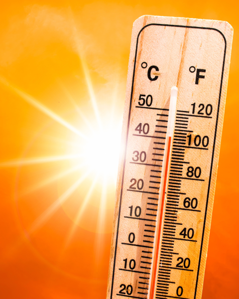 Ondata di caldo