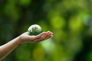 Mondo Verde Mano Canva