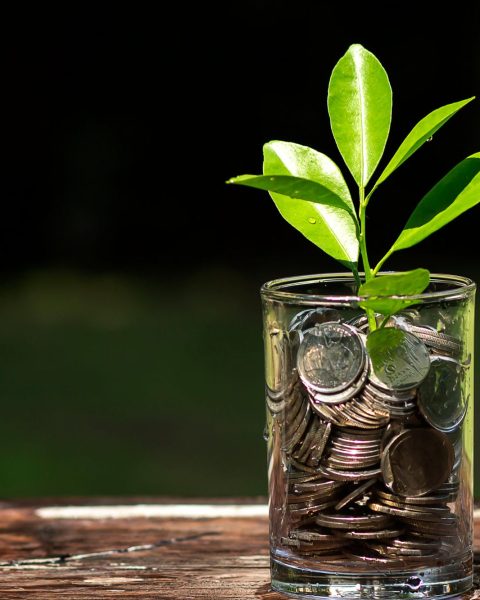 Investimenti Green Canva