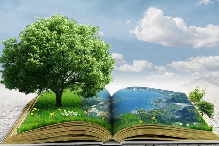 libro immaginario con albero e mare