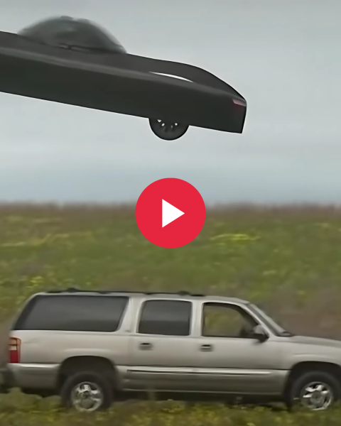 Auto Volante Alef Model Zero Video Screen