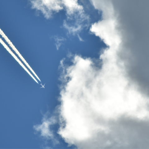 Scie chimiche