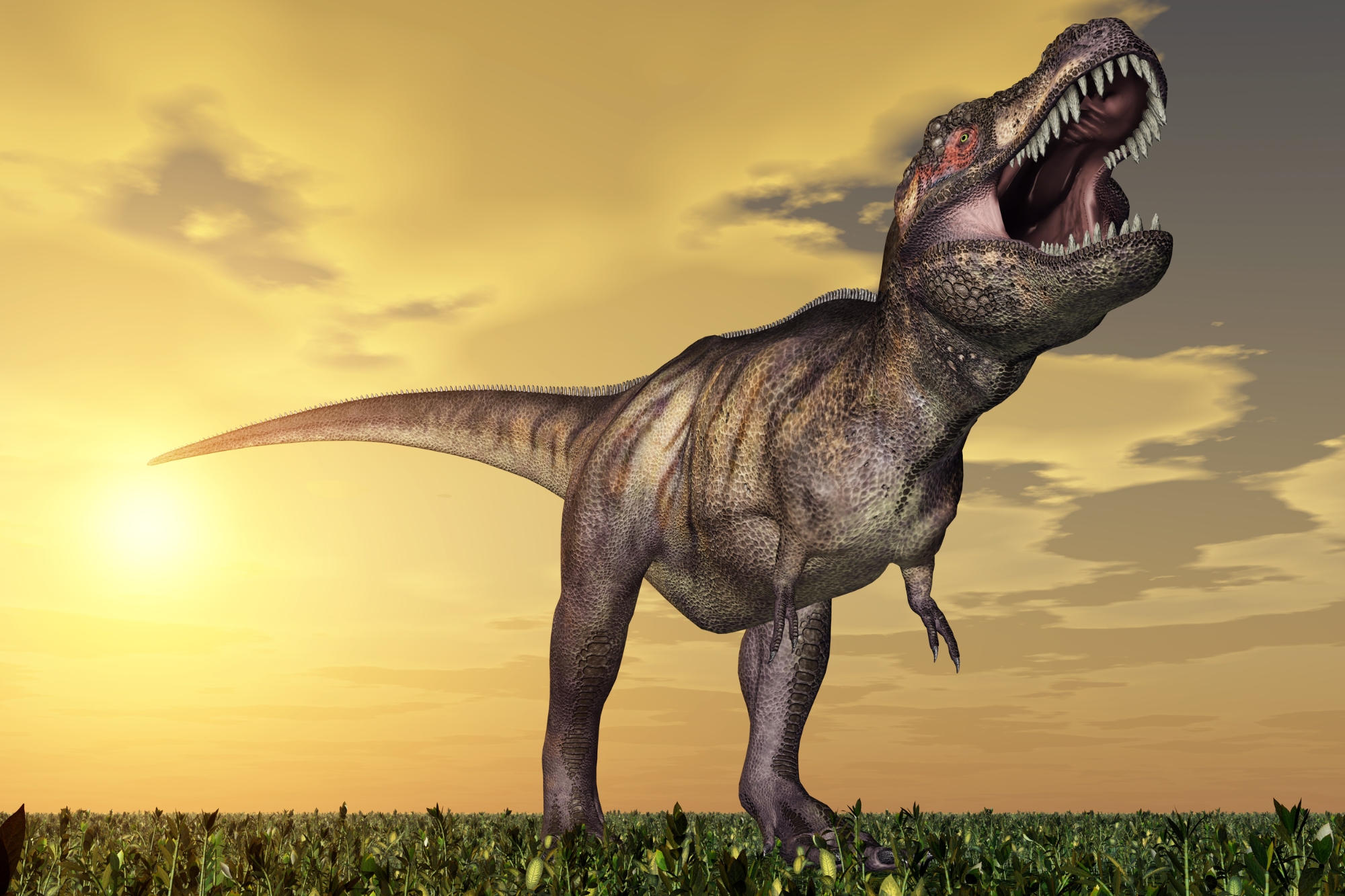 T-Rex