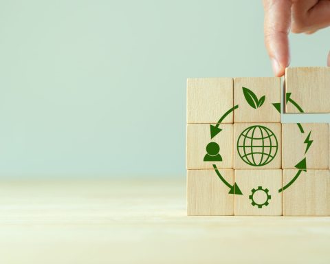 Economia Circolare Canva