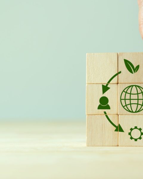 Economia Circolare Canva