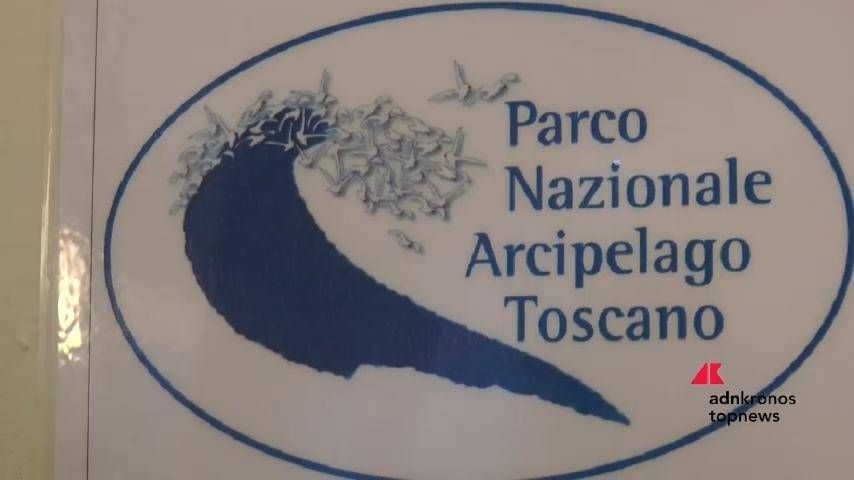 Ambiente: Fondazione Una E Federparchi, Il Ritorno Del Barbagianni A Pianosa 