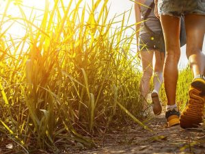 Progetto Doiman, In Val Di Sole Un Concorso Per I Turisti Più Gentili