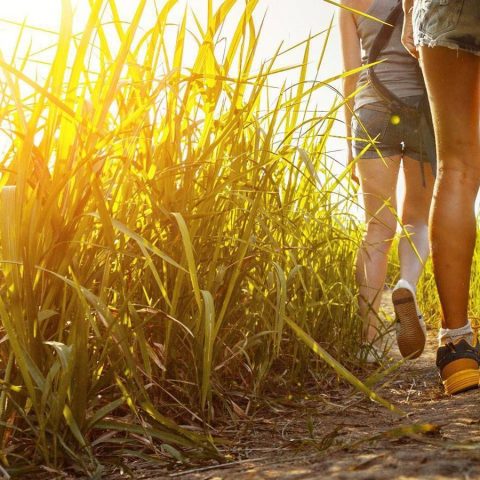 Progetto Doiman, In Val Di Sole Un Concorso Per I Turisti Più Gentili