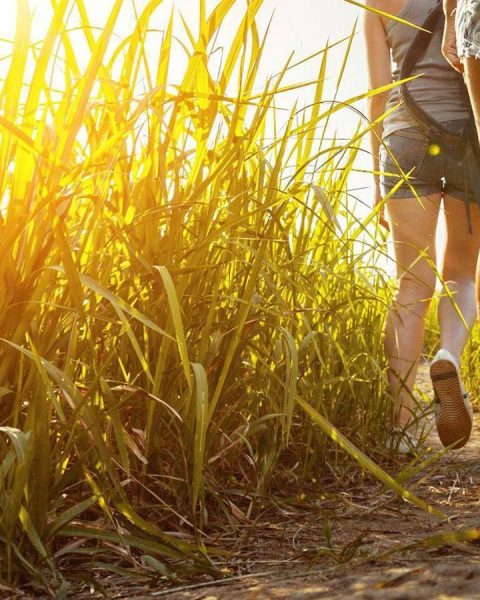 Progetto Doiman, In Val Di Sole Un Concorso Per I Turisti Più Gentili