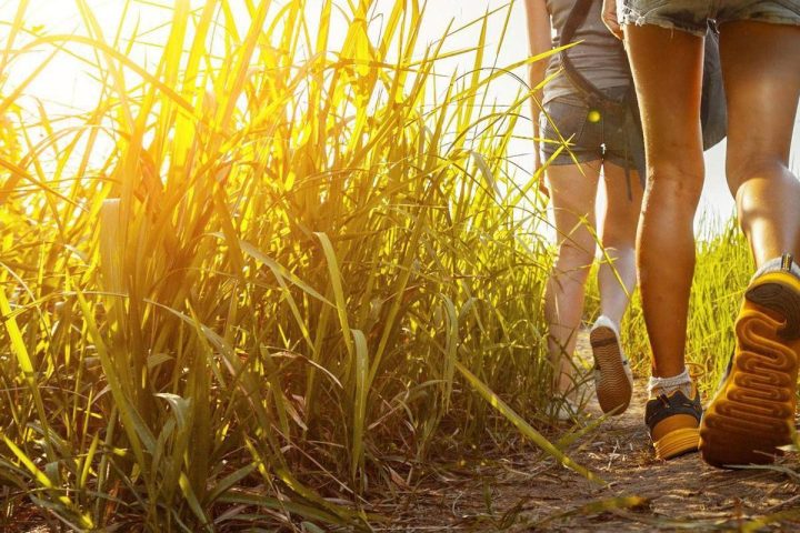 Progetto Doiman, In Val Di Sole Un Concorso Per I Turisti Più Gentili