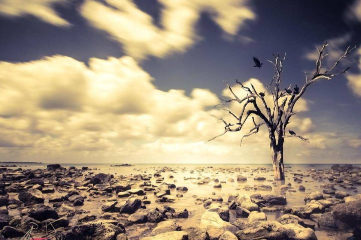 Clima, Soffre Di 'ecoansia' Il 67% Dei Giovani Nel Mondo