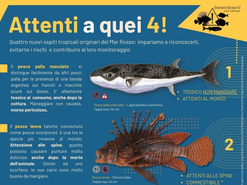Alieni Invasivi, Riparte La Campagna 'attenti A Quei 4!'