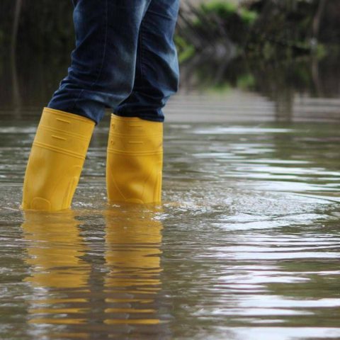 Rivoluzione Nelle Previsioni Meteo, Europa Lancia Satellite Sonda Geostazionario