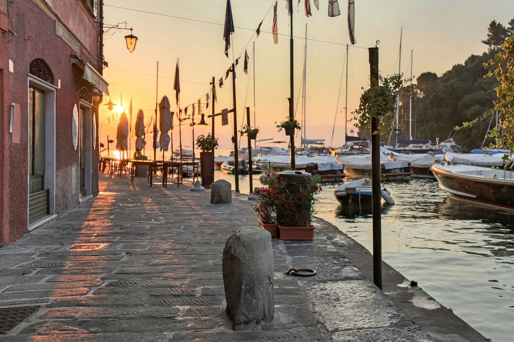Portofino Canva