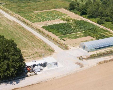 Agricoltura, Martinorossi In Campo Per Innovazione Sostenibile Con Progetti Sperimentali