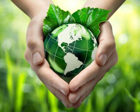 Il 24 Luglio è L'earth Overshoot Day, Esaurito Il Budget Ecologico Annuale