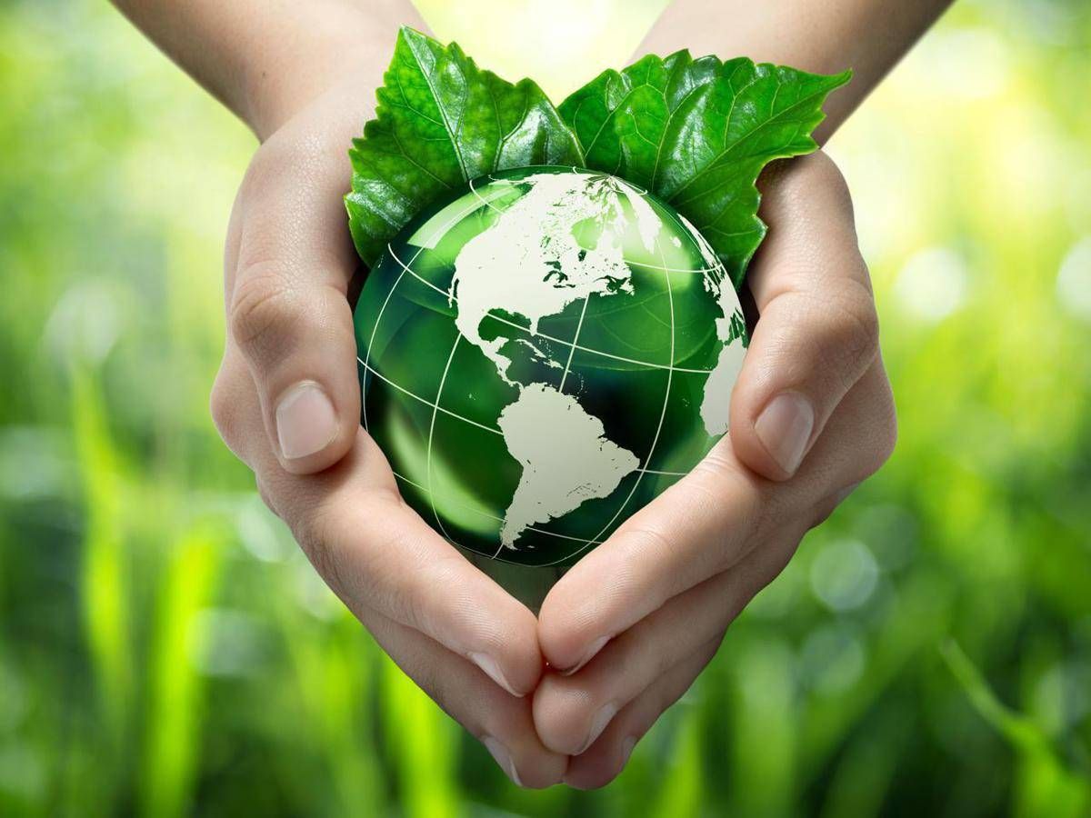 Il 24 Luglio è L'earth Overshoot Day, Esaurito Il Budget Ecologico Annuale