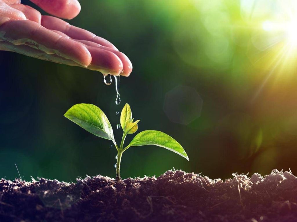 Spighe Verdi 2025, Assegnate A 90 Località Rurali