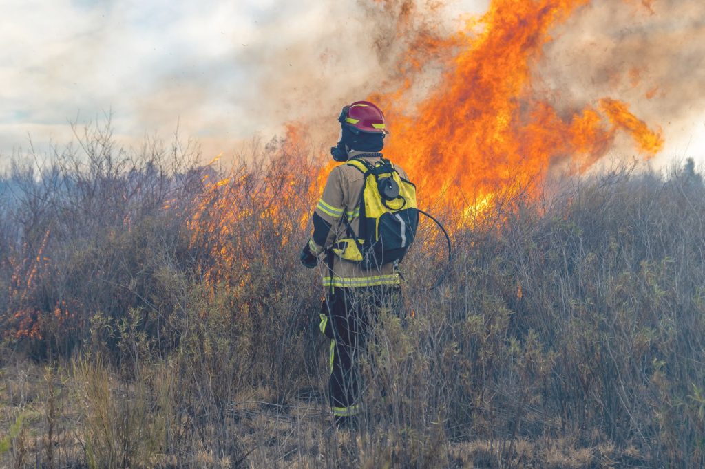 Incendi Sardegna Canva