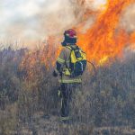 Incendi Sardegna Canva