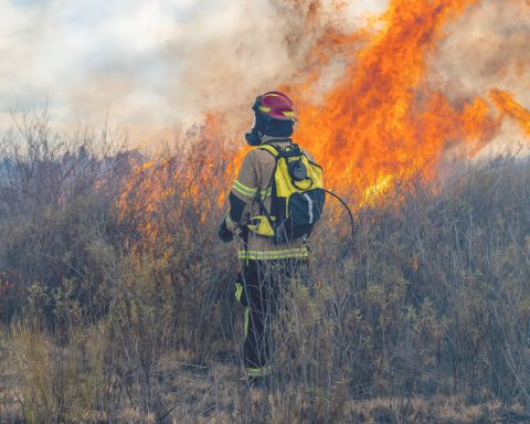 Incendi Sardegna Canva