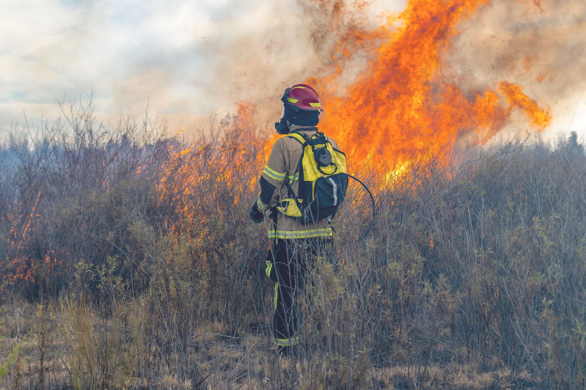 Incendi Sardegna Canva