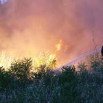 Incendi 2025, 3,3 Roghi Al Giorno In Sette Mesi