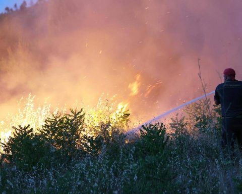 Incendi 2025, 3,3 Roghi Al Giorno In Sette Mesi