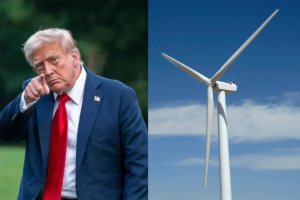 Trump pala eolica