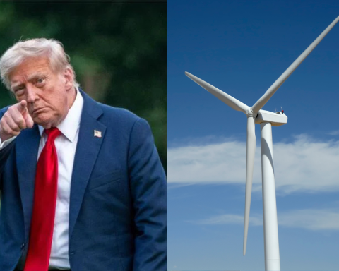 Trump pala eolica