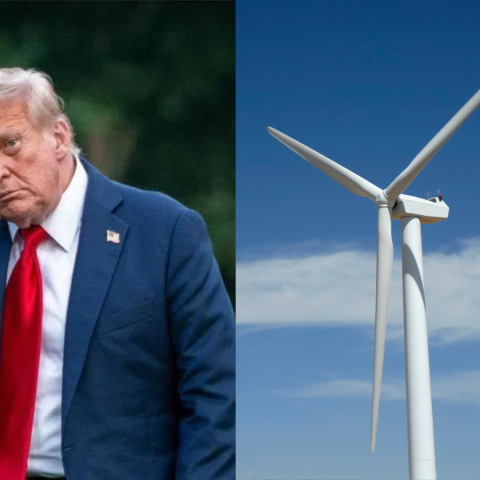 Trump pala eolica