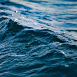 Mare Canva