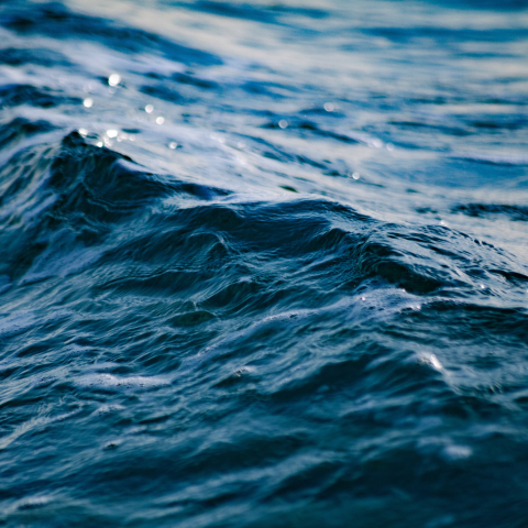 Mare Canva