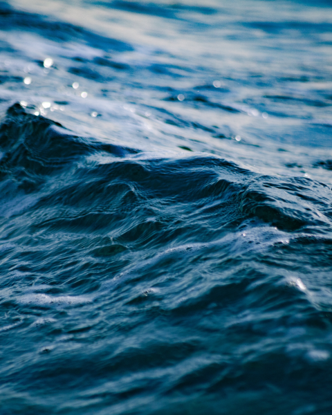 Mare Canva