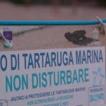 Boom Di Nidi Di Tartarughe Marine, In Azione Anche I Tarta Dog